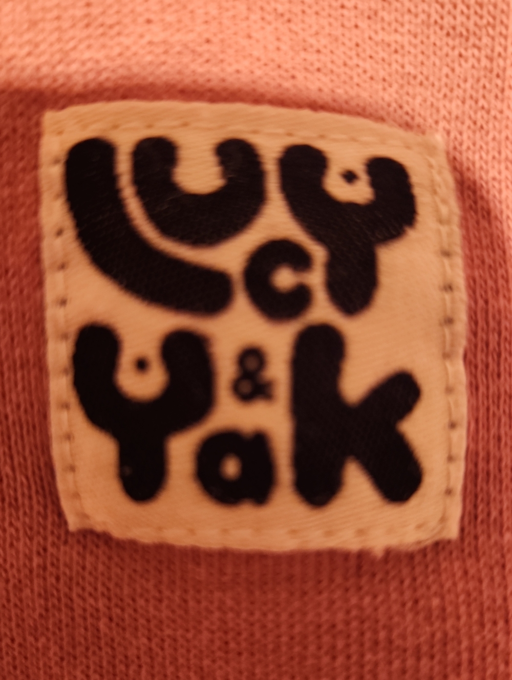 Lucy & Yak XS Dusty Rose Hooded Sweatshirt - Unisex Pullover Boyfriend Fit - Picture 2 of 3
